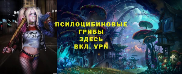 PSILOCYBIN Туринск