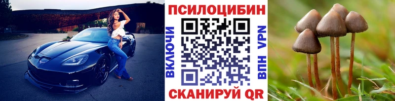 что такое Печоры кракен зеркало Галлюциногенные грибы Magic Shrooms