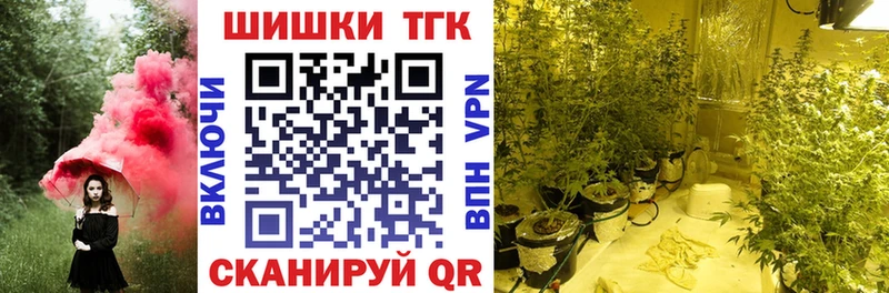 Бошки Шишки гибрид  МЕГА как зайти  Печоры 